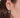 Totem Turquoise Paisley Dangle Earrings