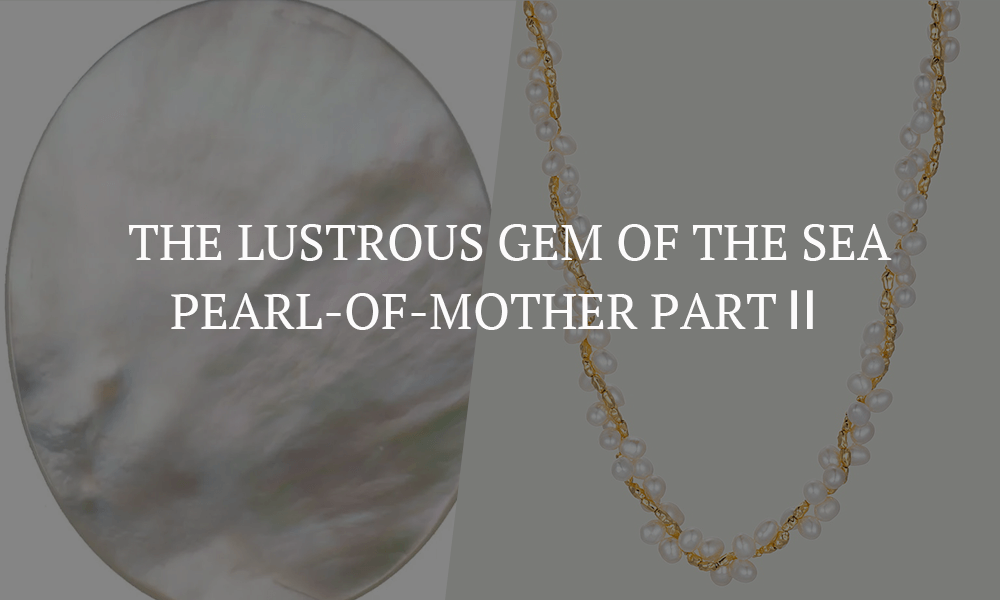 The Lustrous Gem of the Sea：Mother-of-Pearl