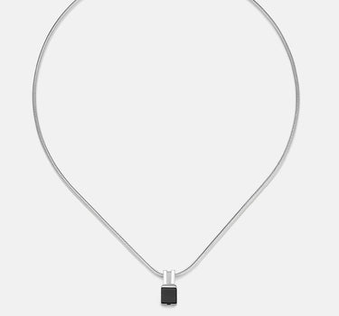 Black Onyx Sanke Charm Necklace