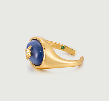 Blue Crystal Signature Ring