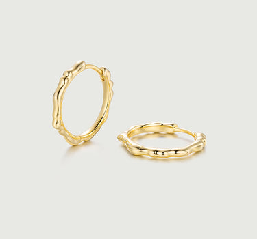 Chic-curve Hoop Earrings