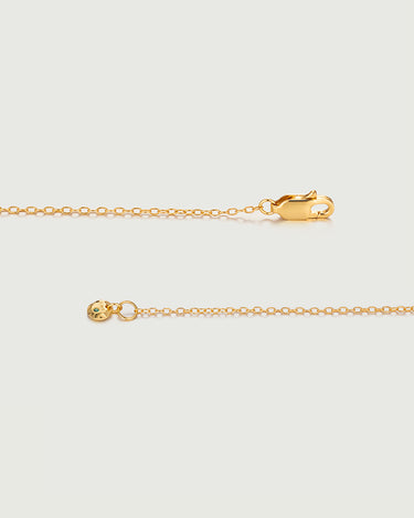 Encircle Loops Moissanite Necklace