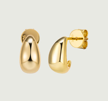 PaisleyFlourishHoopEarrings