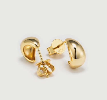  Paisley Flourish Hoop Earrings